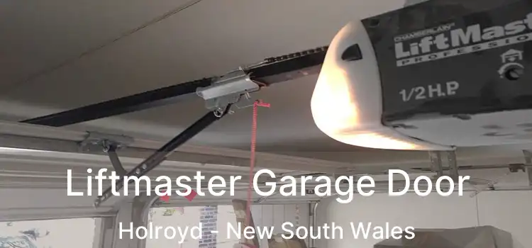 Liftmaster Garage Door Holroyd - New South Wales