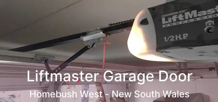 Liftmaster Garage Door Homebush West - New South Wales