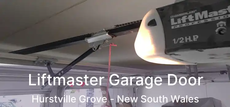 Liftmaster Garage Door Hurstville Grove - New South Wales