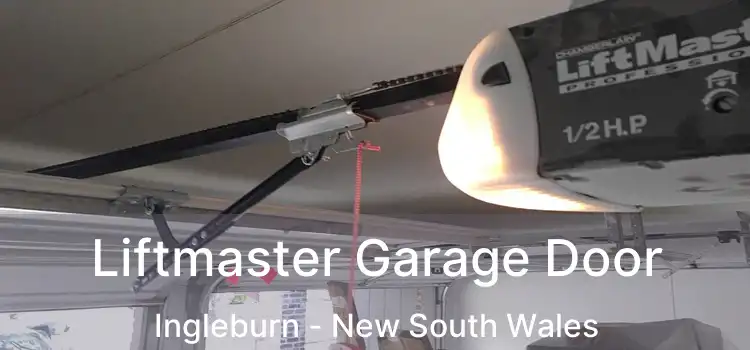 Liftmaster Garage Door Ingleburn - New South Wales