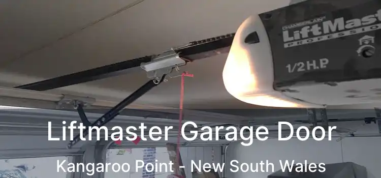 Liftmaster Garage Door Kangaroo Point - New South Wales