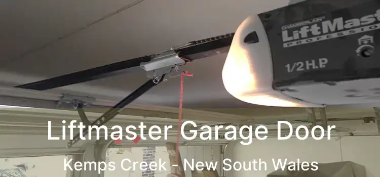Liftmaster Garage Door Kemps Creek - New South Wales