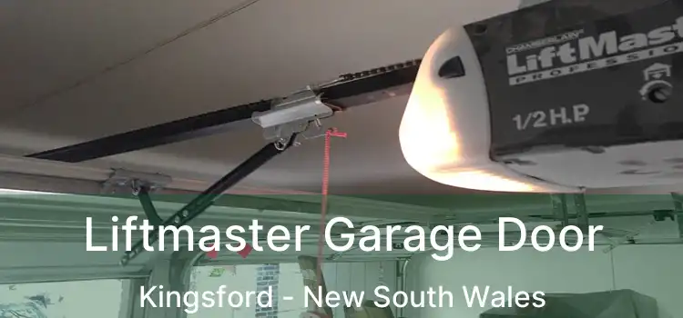 Liftmaster Garage Door Kingsford - New South Wales