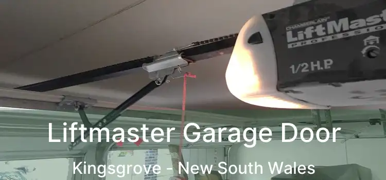Liftmaster Garage Door Kingsgrove - New South Wales