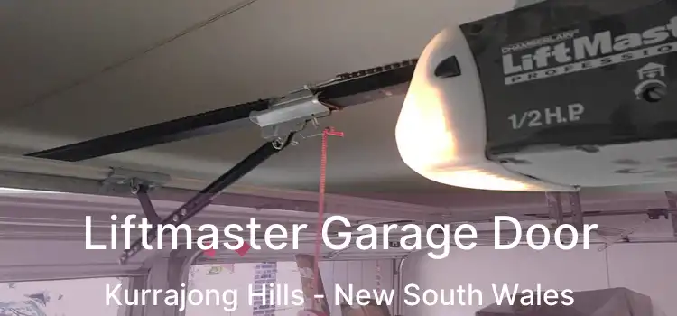 Liftmaster Garage Door Kurrajong Hills - New South Wales