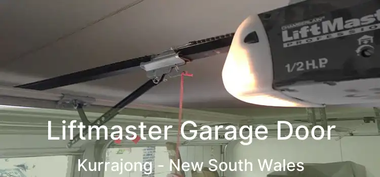 Liftmaster Garage Door Kurrajong - New South Wales