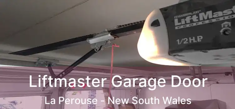 Liftmaster Garage Door La Perouse - New South Wales