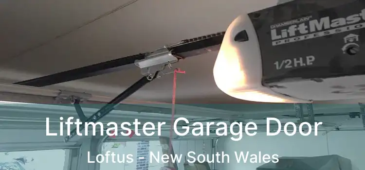 Liftmaster Garage Door Loftus - New South Wales