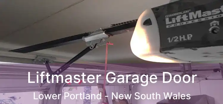 Liftmaster Garage Door Lower Portland - New South Wales