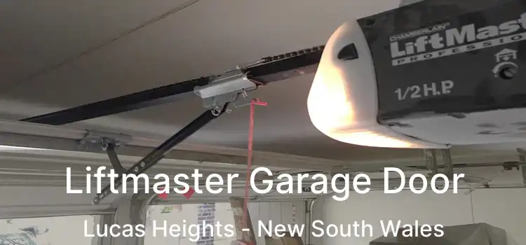 Liftmaster Garage Door Lucas Heights - New South Wales