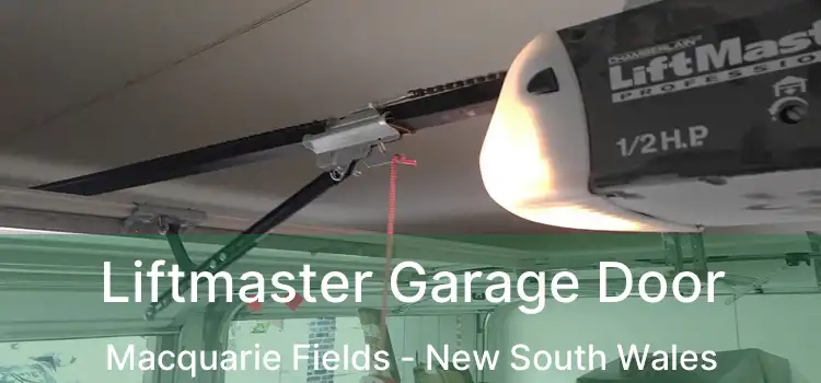 Liftmaster Garage Door Macquarie Fields - New South Wales