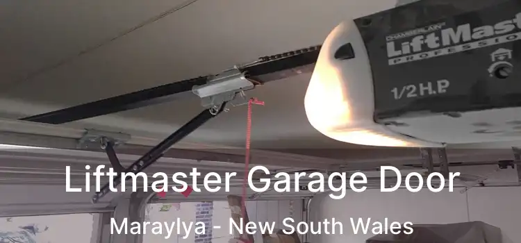 Liftmaster Garage Door Maraylya - New South Wales
