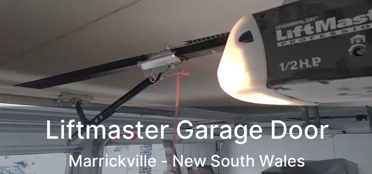 Liftmaster Garage Door Marrickville - New South Wales