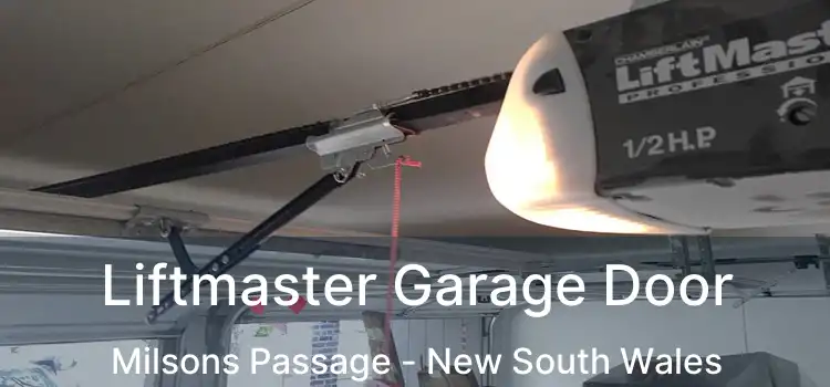 Liftmaster Garage Door Milsons Passage - New South Wales