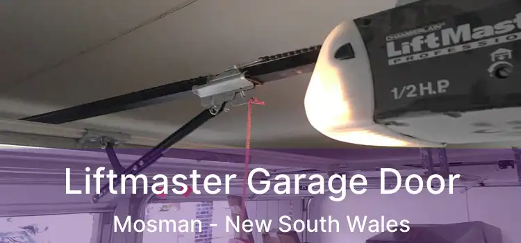 Liftmaster Garage Door Mosman - New South Wales