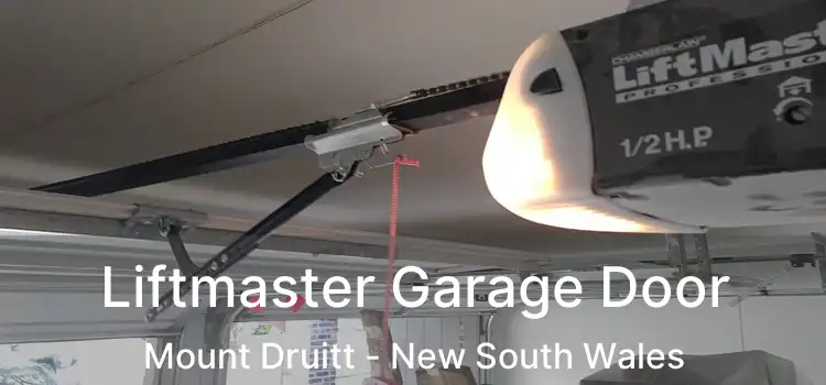 Liftmaster Garage Door Mount Druitt - New South Wales