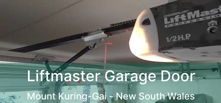 Liftmaster Garage Door Mount Kuring-Gai - New South Wales