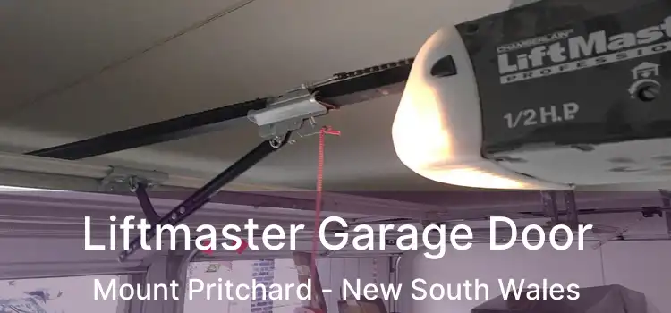Liftmaster Garage Door Mount Pritchard - New South Wales