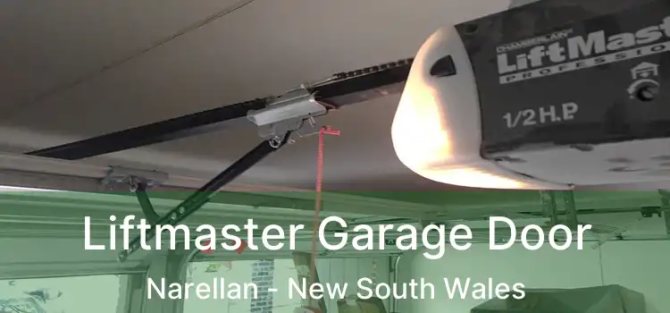 Liftmaster Garage Door Narellan - New South Wales