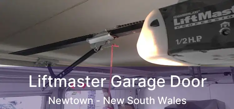 Liftmaster Garage Door Newtown - New South Wales