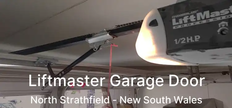 Liftmaster Garage Door North Strathfield - New South Wales