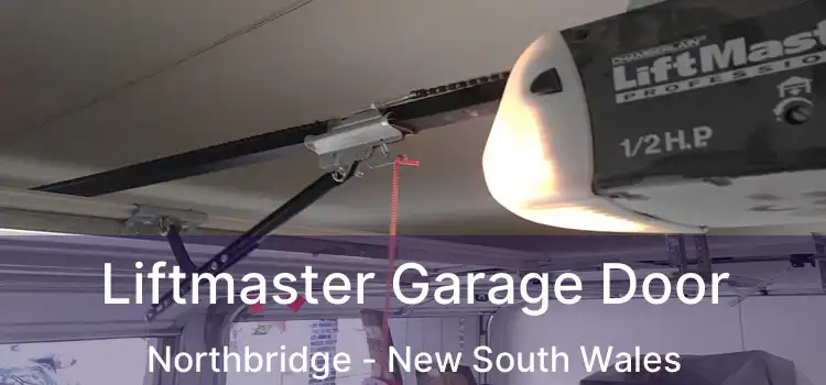 Liftmaster Garage Door Northbridge - New South Wales