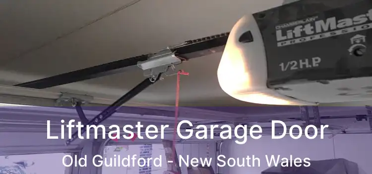 Liftmaster Garage Door Old Guildford - New South Wales