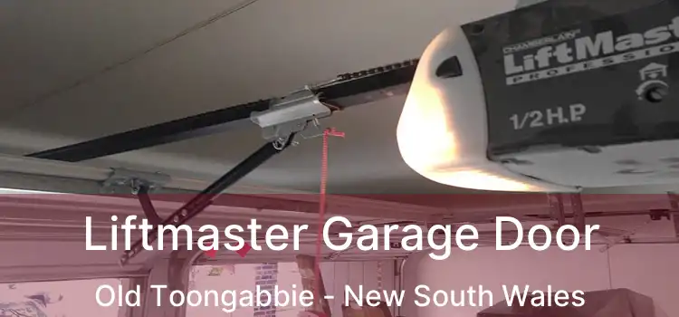 Liftmaster Garage Door Old Toongabbie - New South Wales