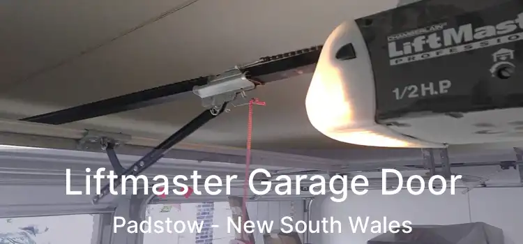 Liftmaster Garage Door Padstow - New South Wales