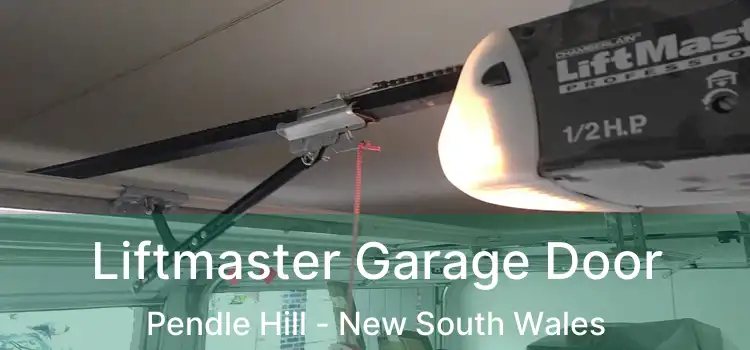 Liftmaster Garage Door Pendle Hill - New South Wales