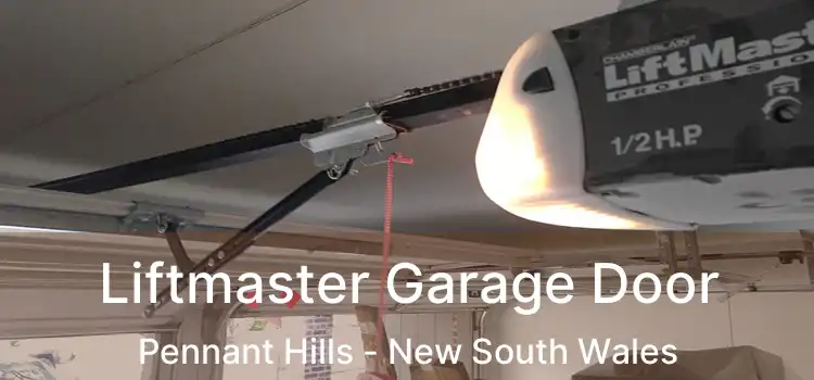 Liftmaster Garage Door Pennant Hills - New South Wales