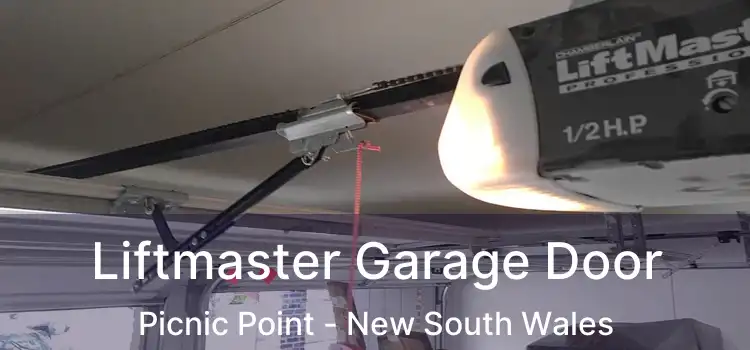Liftmaster Garage Door Picnic Point - New South Wales
