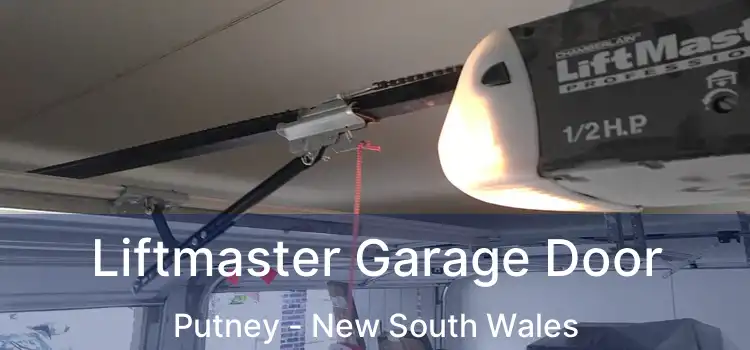 Liftmaster Garage Door Putney - New South Wales