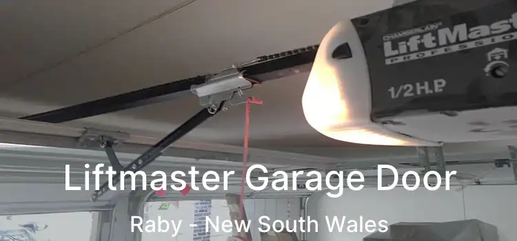Liftmaster Garage Door Raby - New South Wales