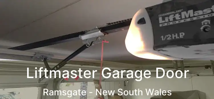 Liftmaster Garage Door Ramsgate - New South Wales