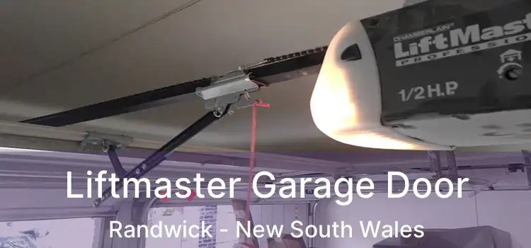 Liftmaster Garage Door Randwick - New South Wales
