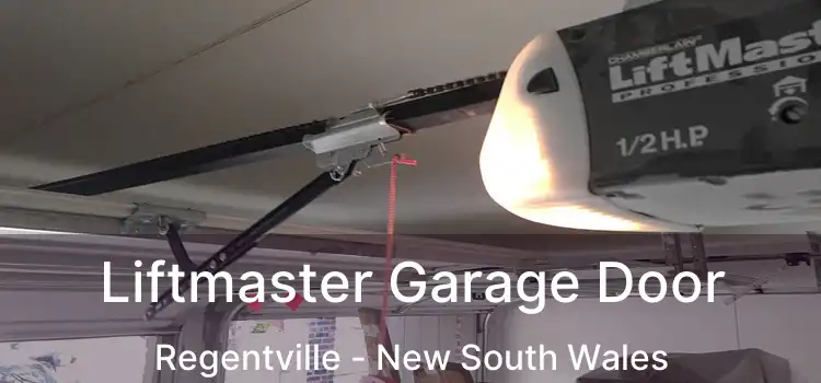 Liftmaster Garage Door Regentville - New South Wales