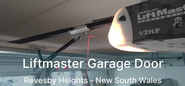 Liftmaster Garage Door Revesby Heights - New South Wales