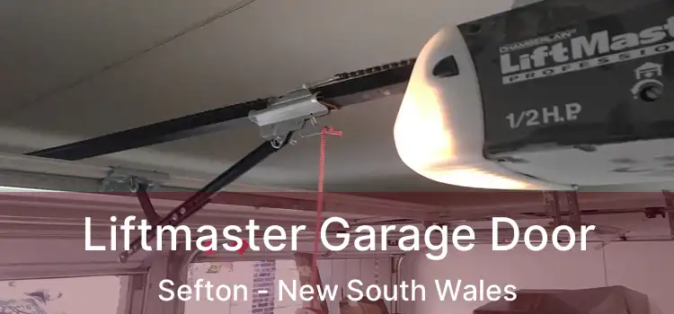 Liftmaster Garage Door Sefton - New South Wales