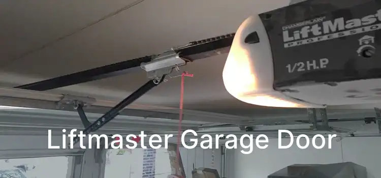 Liftmaster Garage Door