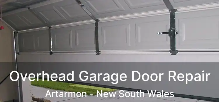 Overhead Garage Door Repair Artarmon - New South Wales