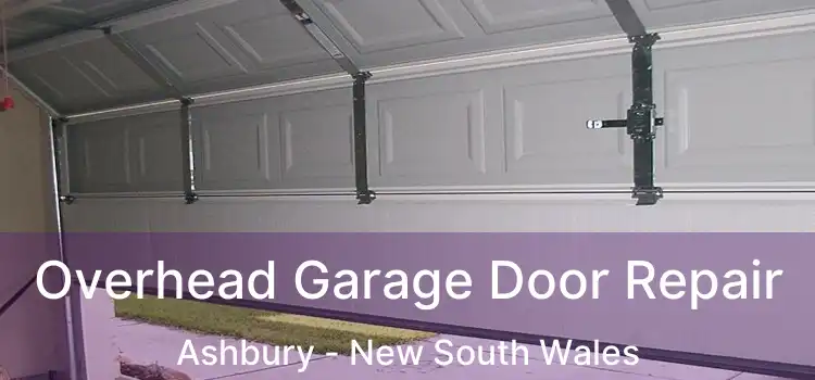 Overhead Garage Door Repair Ashbury - New South Wales