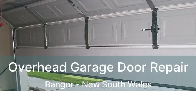 Overhead Garage Door Repair Bangor - New South Wales