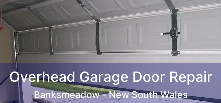 Overhead Garage Door Repair Banksmeadow - New South Wales