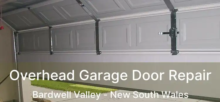 Overhead Garage Door Repair Bardwell Valley - New South Wales
