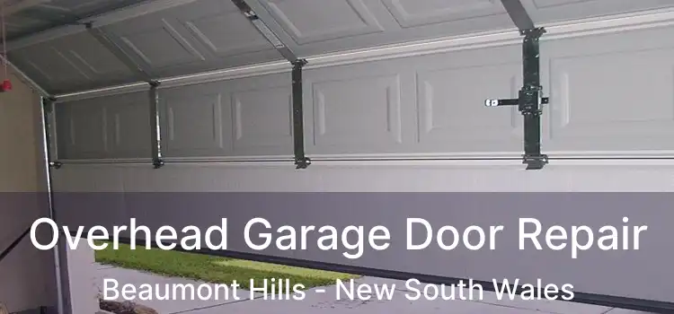 Overhead Garage Door Repair Beaumont Hills - New South Wales