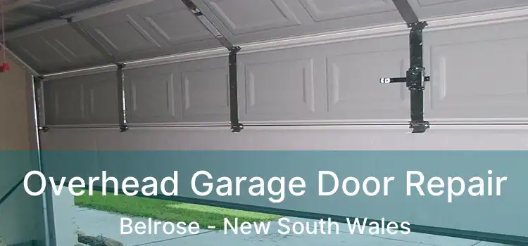 Overhead Garage Door Repair Belrose - New South Wales