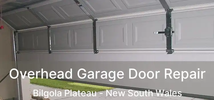 Overhead Garage Door Repair Bilgola Plateau - New South Wales