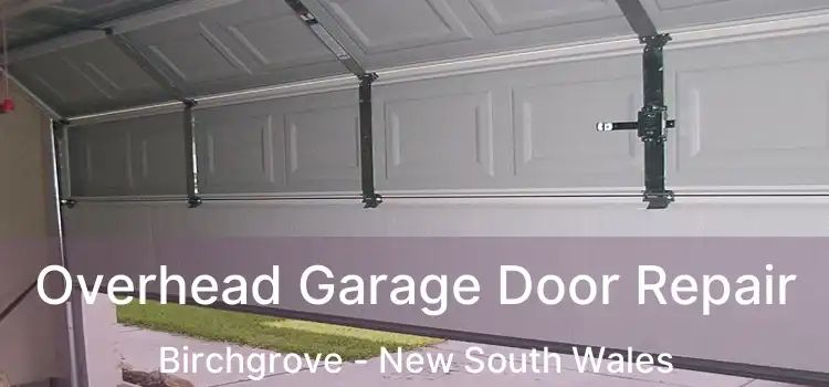 Overhead Garage Door Repair Birchgrove - New South Wales