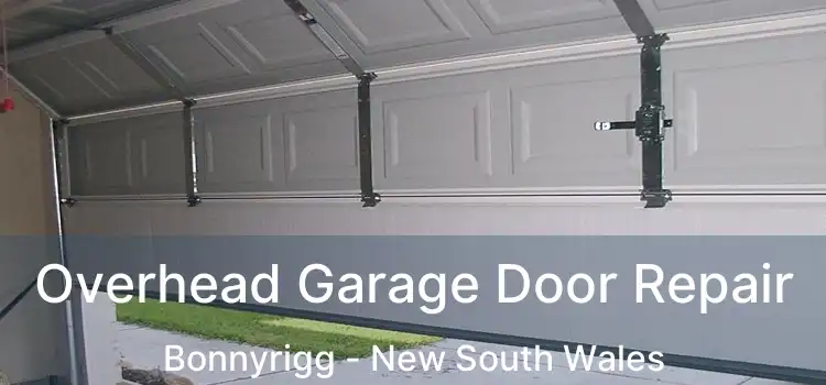 Overhead Garage Door Repair Bonnyrigg - New South Wales